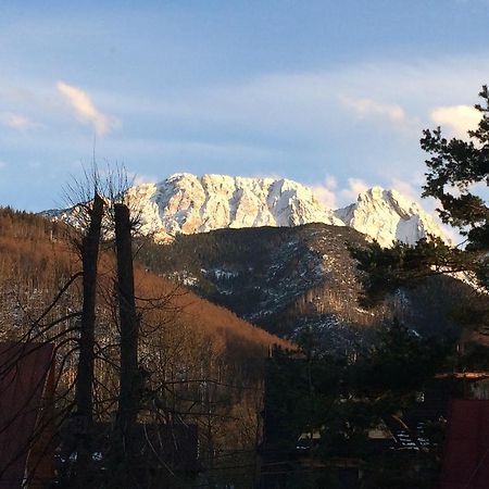 Dom Wypoczynkowy Jadzia Zakopane Eksteriør bilde