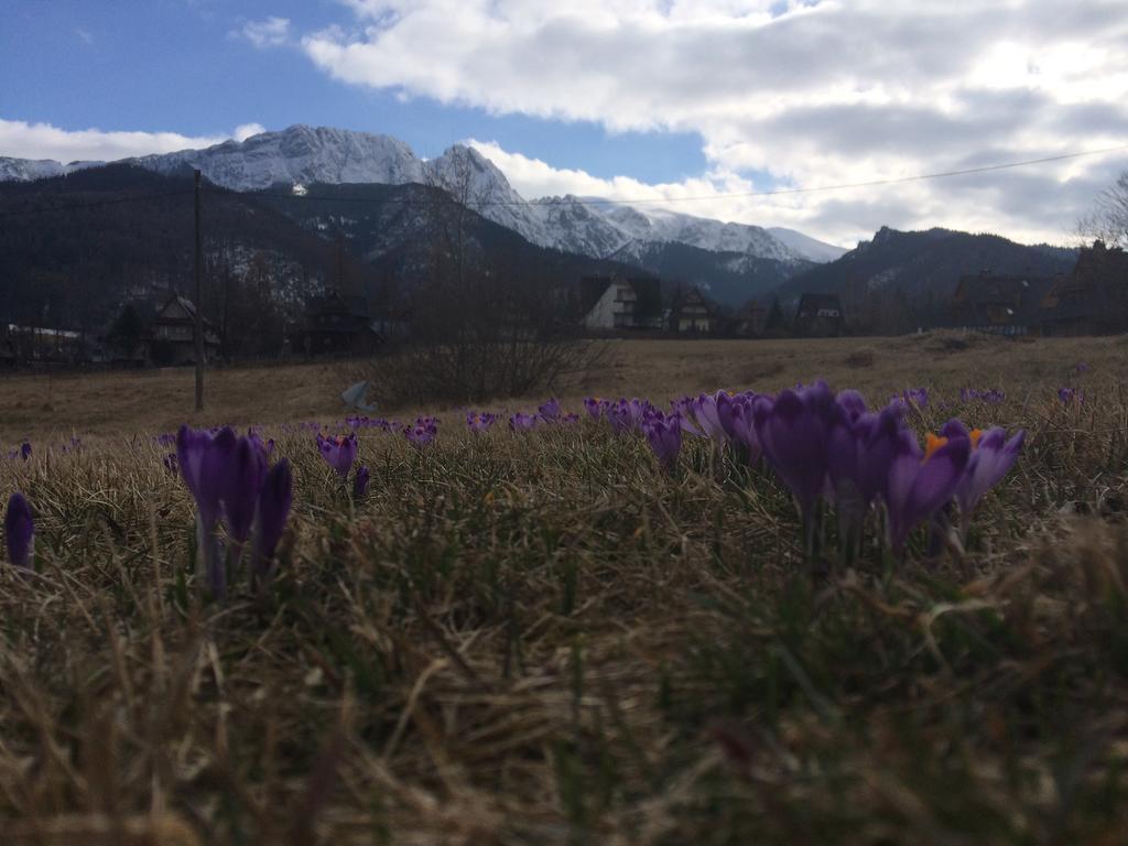 Dom Wypoczynkowy Jadzia Zakopane Eksteriør bilde